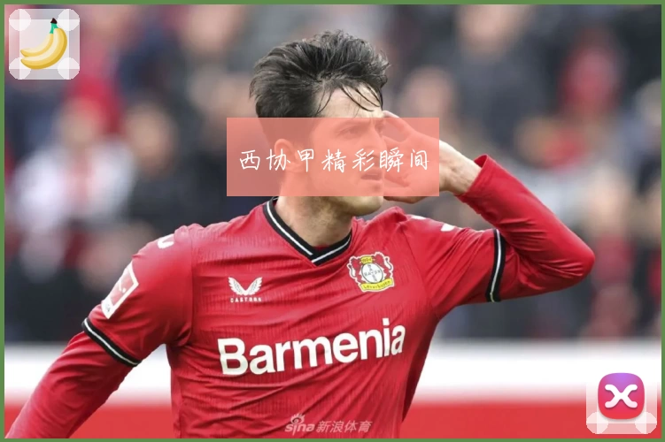 西协甲精彩瞬间