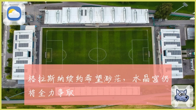 格拉斯纳续约希望渺茫,水晶宫仍将全力争取