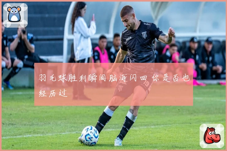 羽毛球胜利瞬间脑海闪回 你是否也经历过