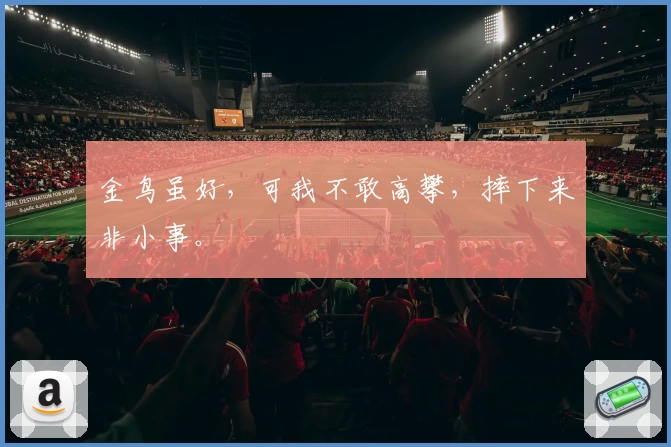 金鸟虽好，可我不敢高攀，摔下来非小事。